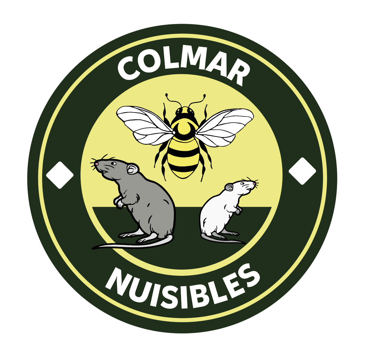 Colmar Nuisibles