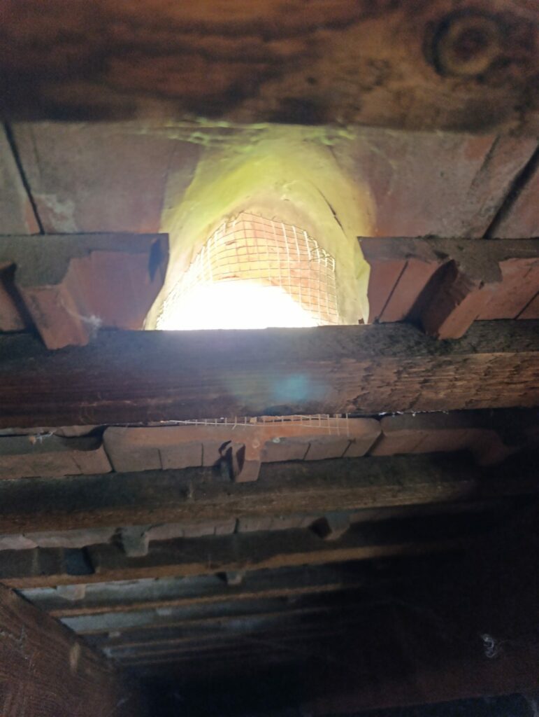 Grillage fin collé au mastic sur une ouverture de toiture, vu depuis les combles, pour empêcher une martre d'entrer à Ammerschwihr